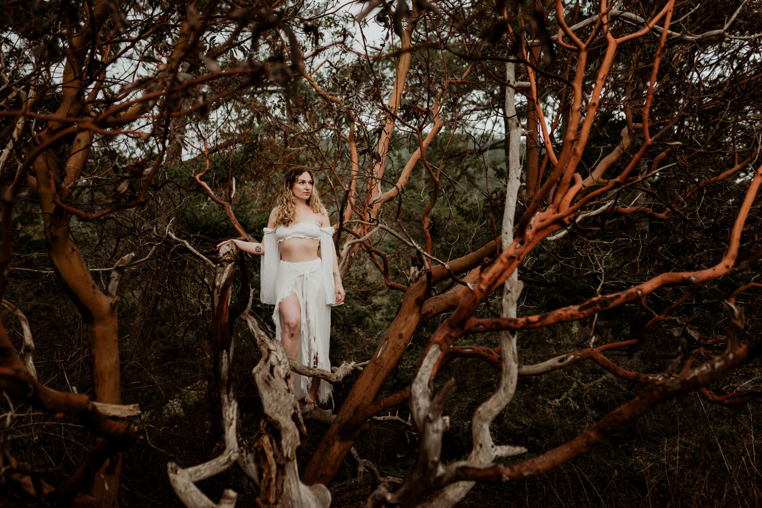 The divine feminine archetype of wild woman is depicted in this image by a woman surrounded by twisted madrona tree branches.