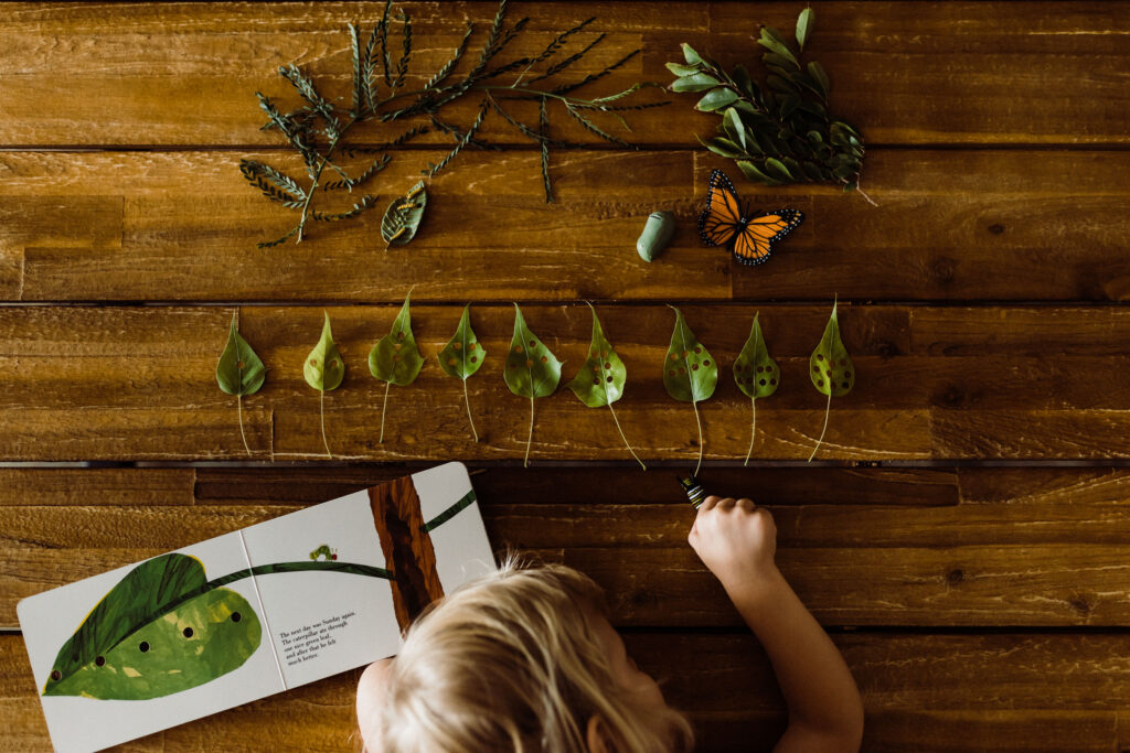 Unit studies can take a nature schooling twist like in this image using The Very Hungry Caterpillar to work on counting.